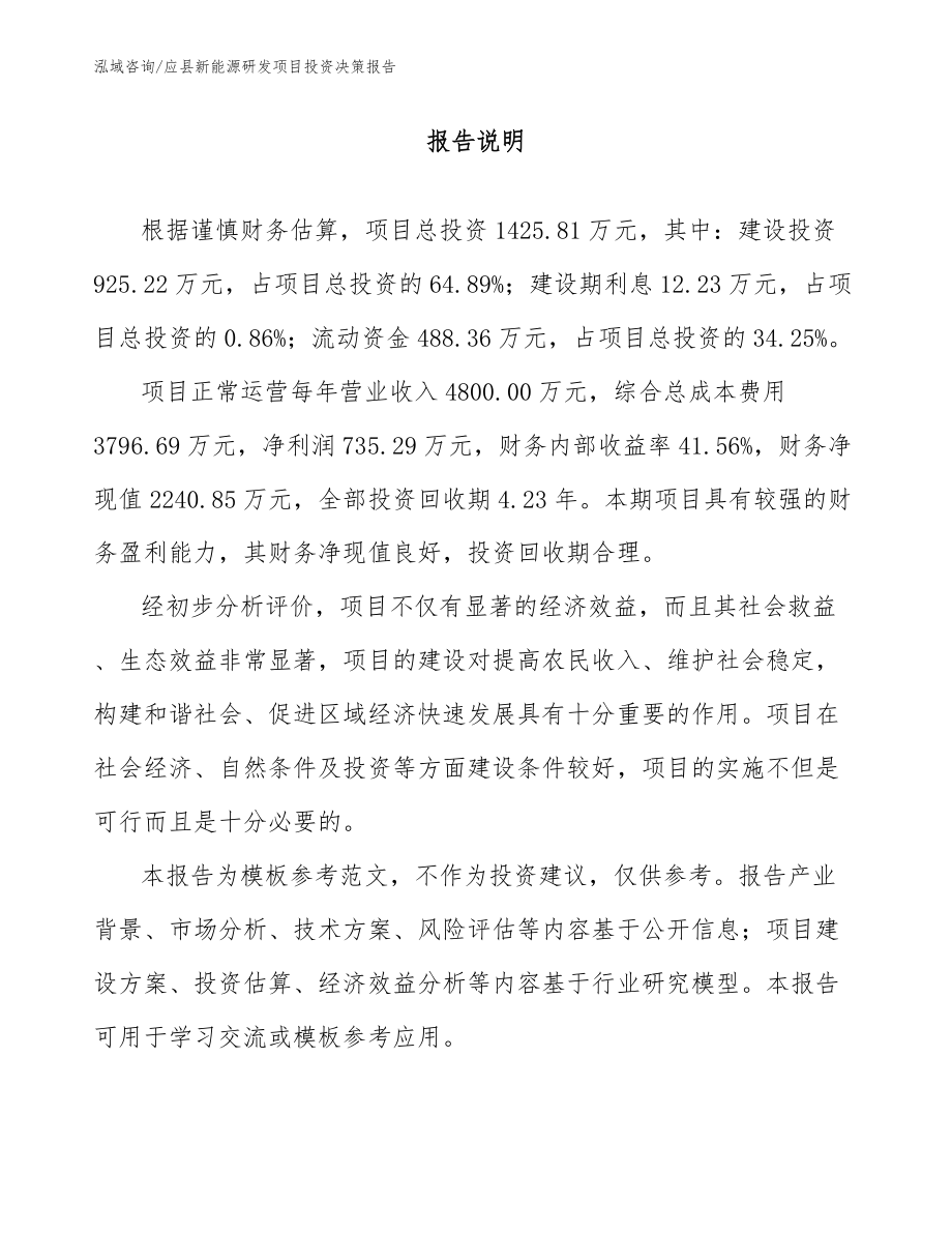 应县新能源研发项目投资决策报告_第1页