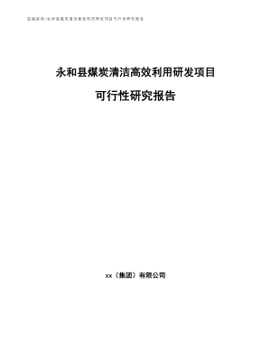 永和县煤炭清洁高效利用研发项目可行性研究报告_模板范本