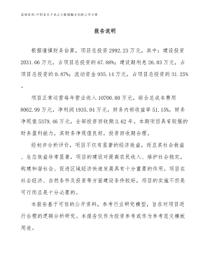中阳县关于成立大数据融合创新公司方案（范文参考）
