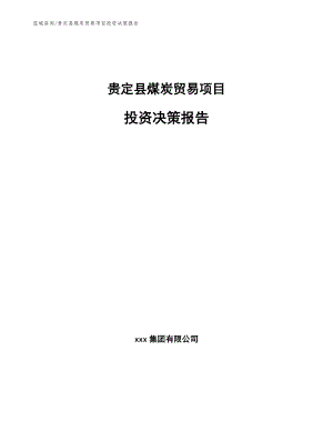 贵定县煤炭贸易项目投资决策报告【范文】