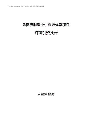 元阳县制造业供应链体系项目招商引资报告