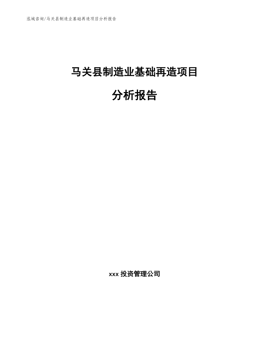 马关县制造业基础再造项目分析报告【模板】_第1页