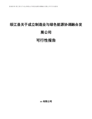 绥江县关于成立制造业与绿色能源协调融合发展公司可行性报告（范文）