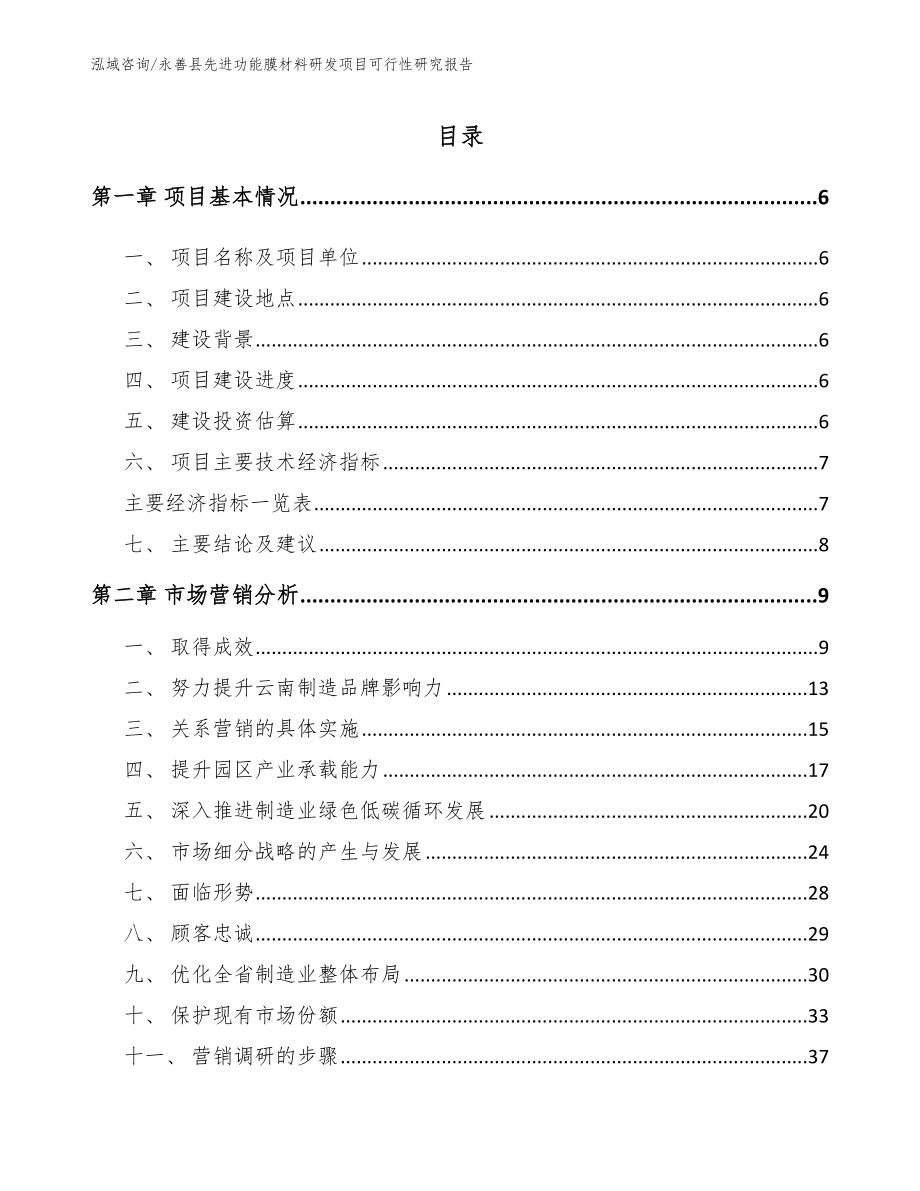 永善县先进功能膜材料研发项目可行性研究报告_第1页