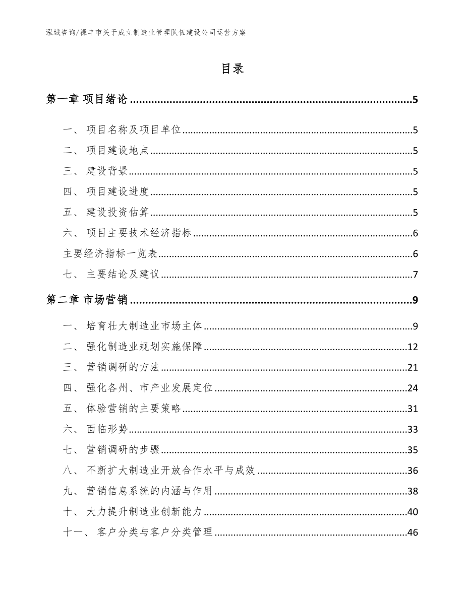 禄丰市关于成立制造业管理队伍建设公司运营方案_范文_第1页