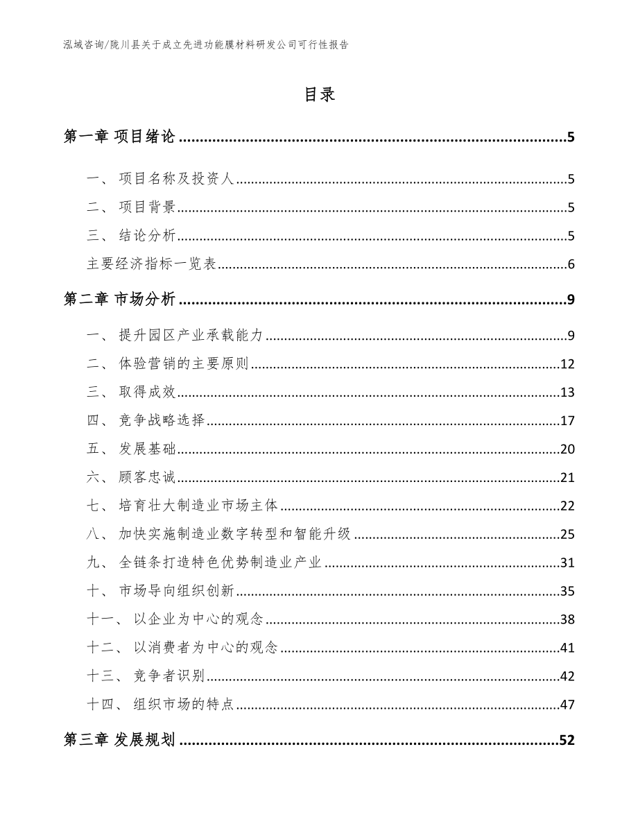 陇川县关于成立先进功能膜材料研发公司可行性报告_第1页