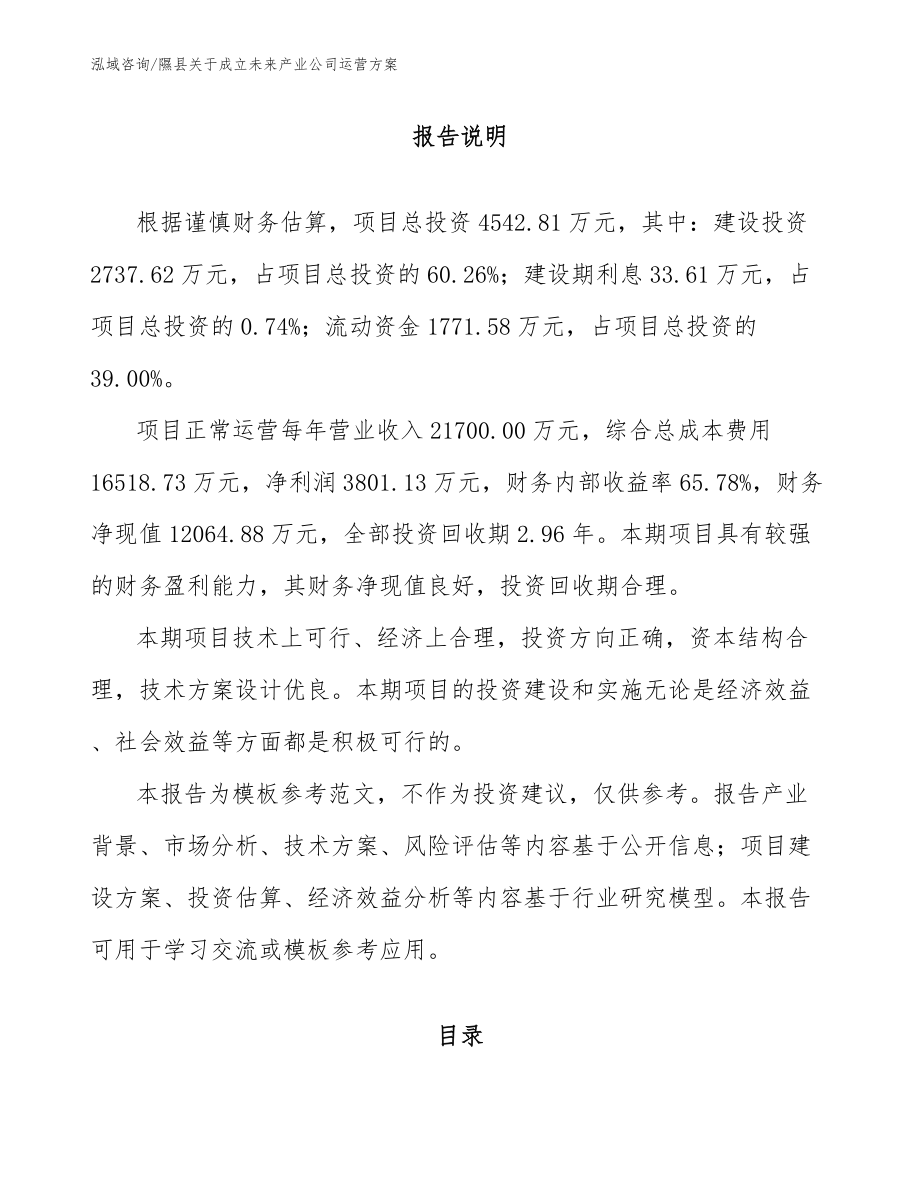隰县关于成立未来产业公司运营方案_第1页