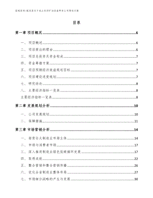 威信县关于成立先进矿冶设备研发公司策划方案