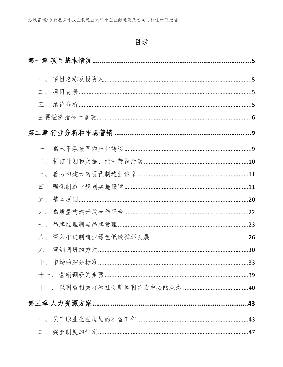 永德县关于成立制造业大中小企业融通发展公司可行性研究报告_参考模板_第1页