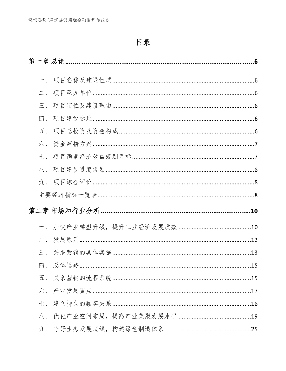 麻江县健康融合项目评估报告（范文模板）_第1页