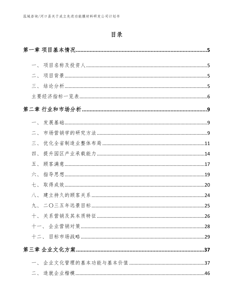 河口县关于成立先进功能膜材料研发公司计划书_第1页