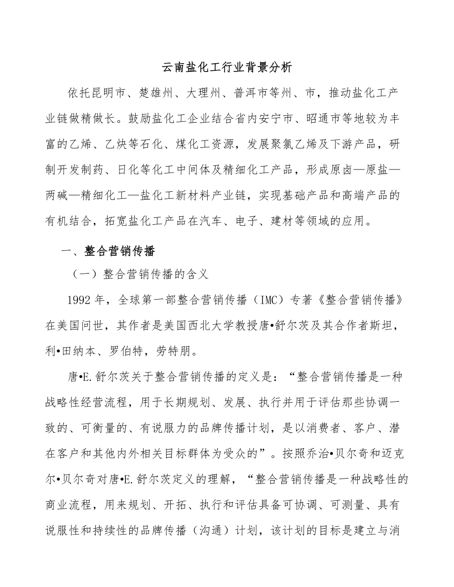 云南盐化工行业背景分析_第1页