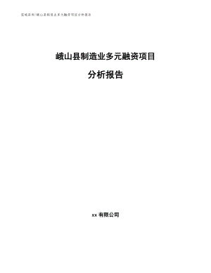 峨山县制造业多元融资项目分析报告【范文参考】