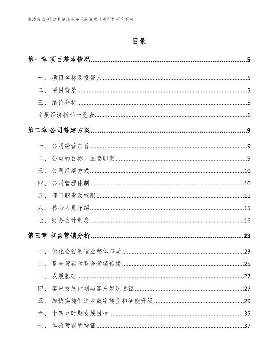 盐津县制造业多元融资项目可行性研究报告【模板】_第1页