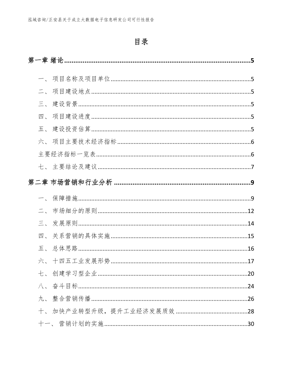 正安县关于成立大数据电子信息研发公司可行性报告_模板参考_第1页