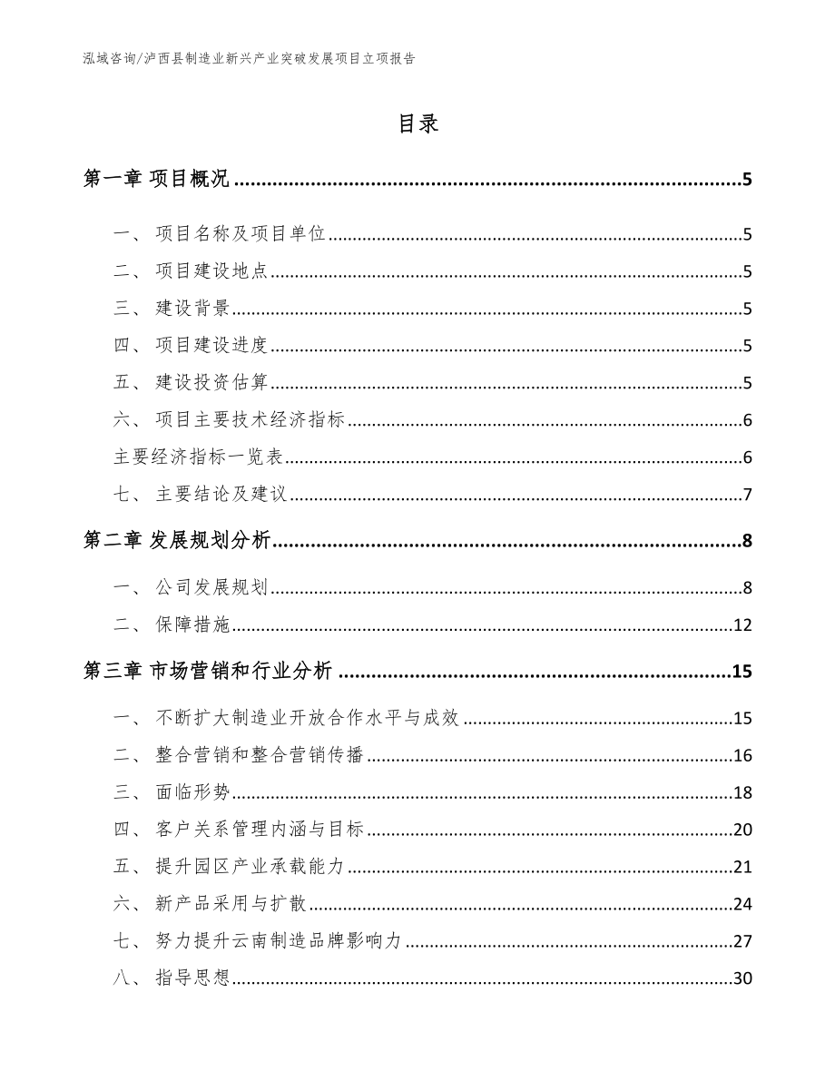 泸西县制造业新兴产业突破发展项目立项报告【模板】_第1页