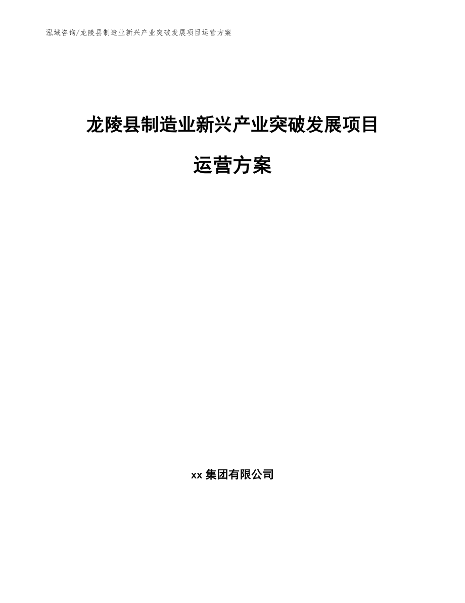 龙陵县制造业新兴产业突破发展项目运营方案（模板）_第1页