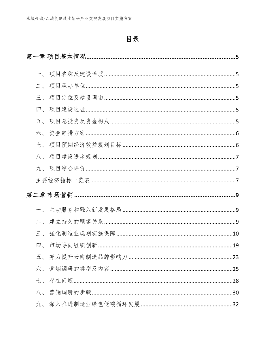 江城县制造业新兴产业突破发展项目实施方案_模板_第1页