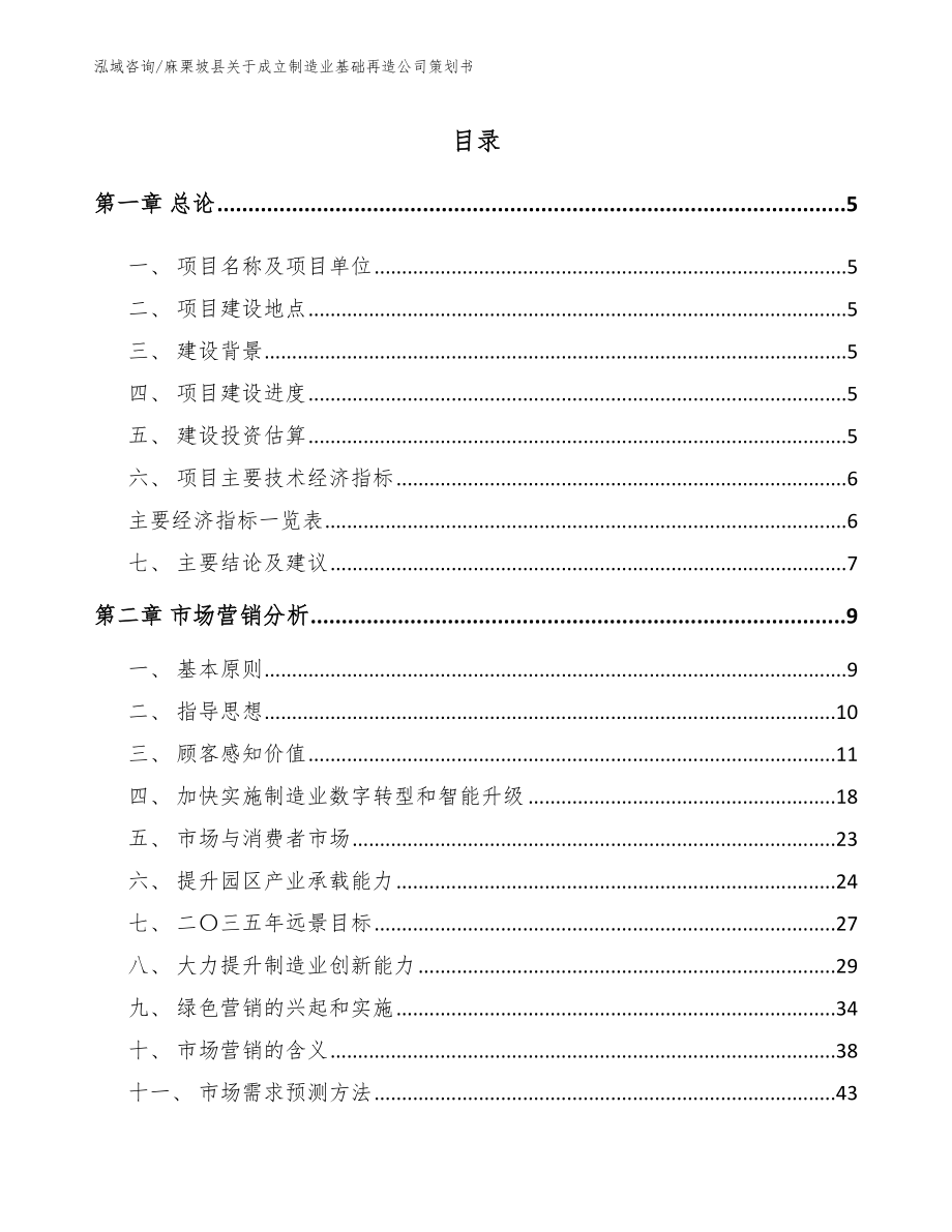 麻栗坡县关于成立制造业基础再造公司策划书【参考范文】_第1页