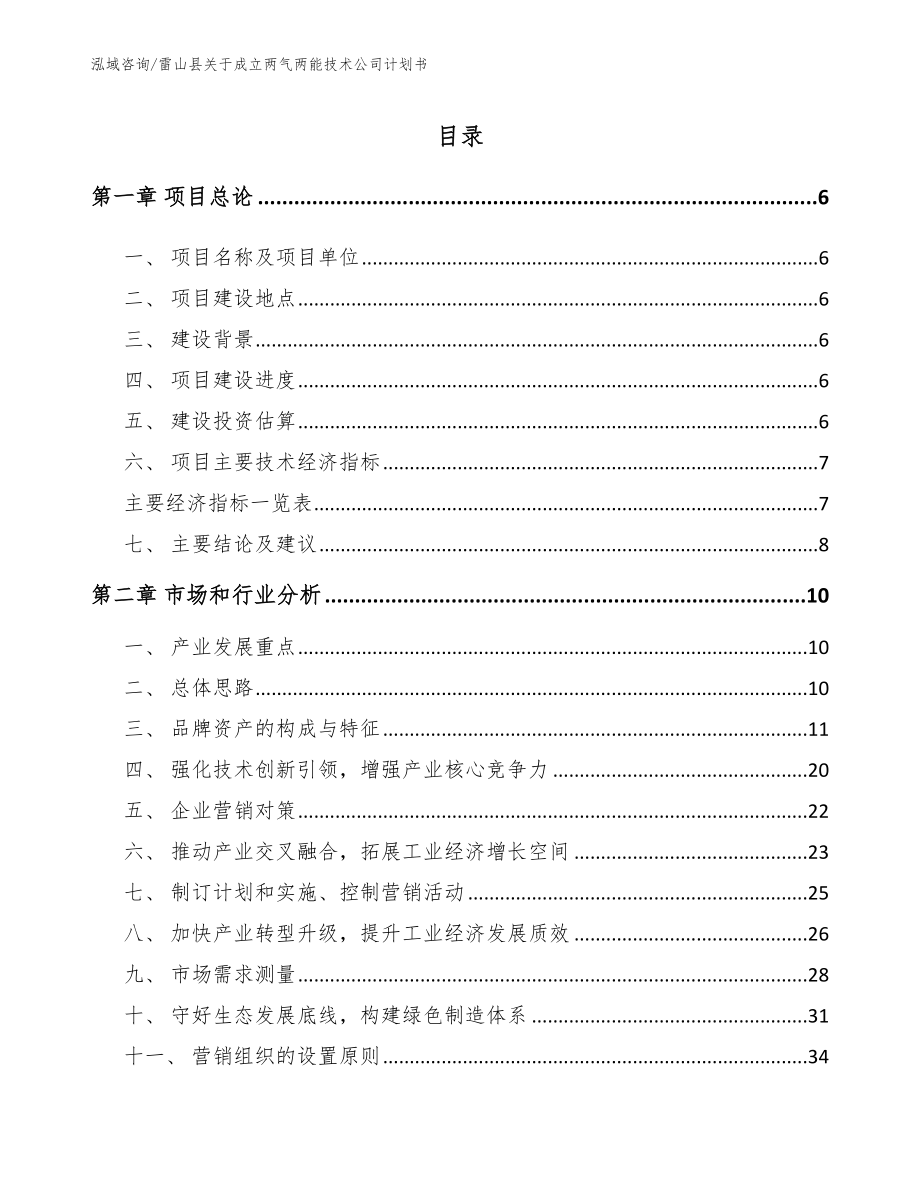 雷山县关于成立两气两能技术公司计划书（范文参考）_第1页