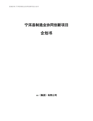 宁洱县制造业协同创新项目企划书（参考范文）