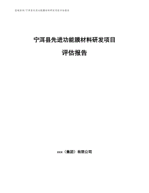 宁洱县先进功能膜材料研发项目评估报告（范文参考）