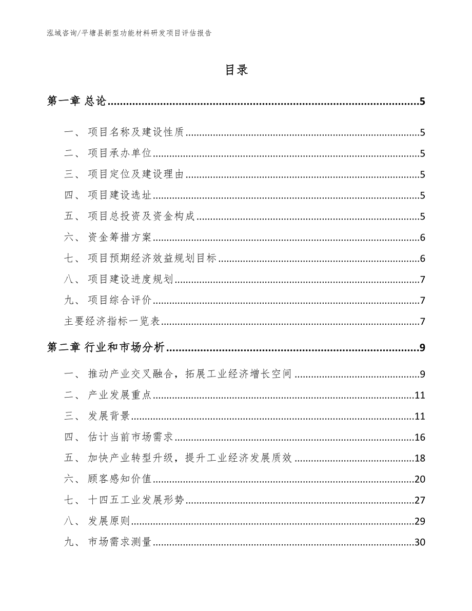 平塘县新型功能材料研发项目评估报告模板_第1页
