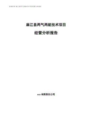 麻江县两气两能技术项目经营分析报告_参考范文