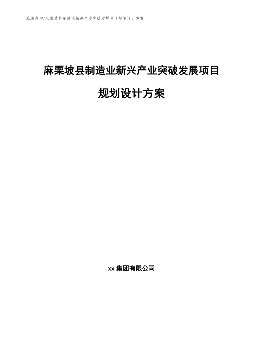 麻栗坡县制造业新兴产业突破发展项目规划设计方案_第1页