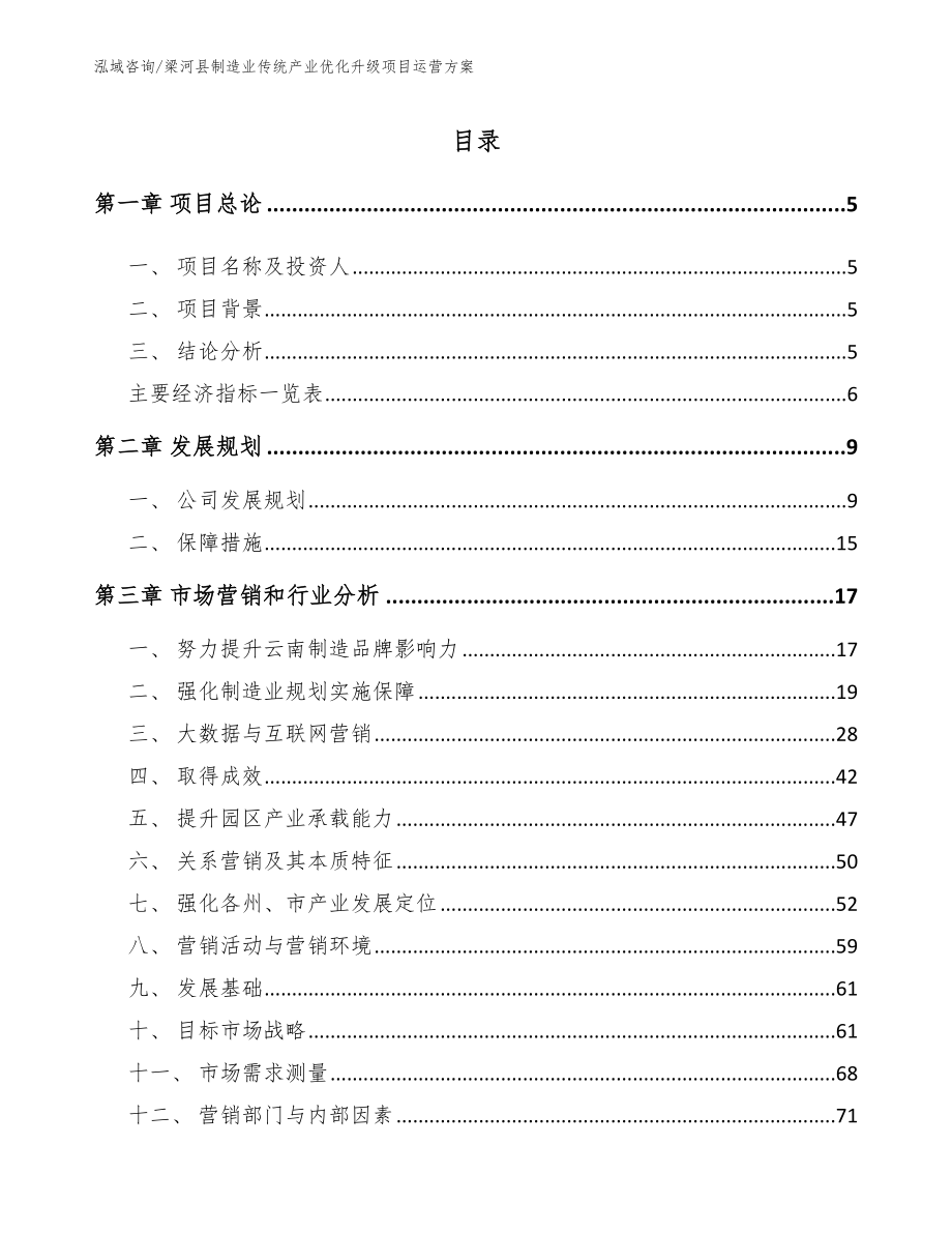 梁河县制造业传统产业优化升级项目运营方案（范文模板）_第1页