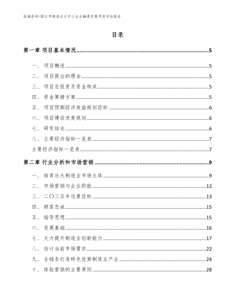 澄江市制造业大中小企业融通发展项目评估报告模板_第1页