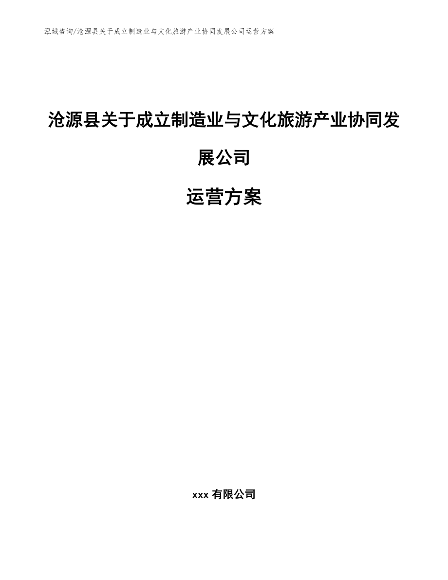 沧源县关于成立制造业与文化旅游产业协同发展公司运营方案模板参考_第1页