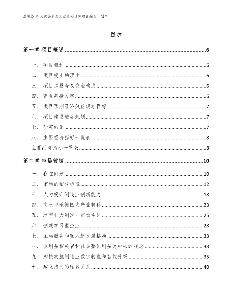 大关县新型工业基础设施项目融资计划书（模板范文）_第1页