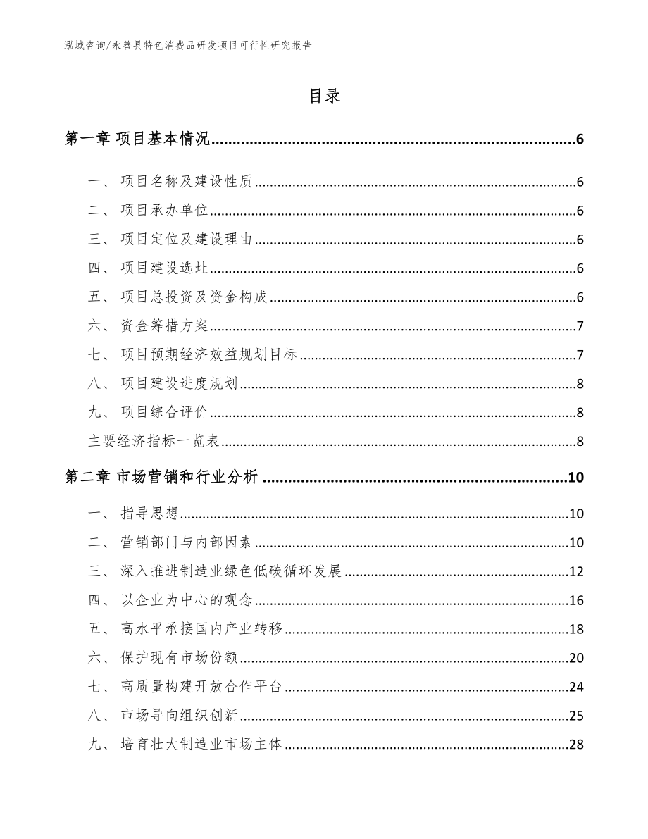 永善县特色消费品研发项目可行性研究报告_模板参考_第1页