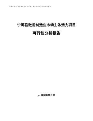 宁洱县激发制造业市场主体活力项目可行性分析报告（范文）