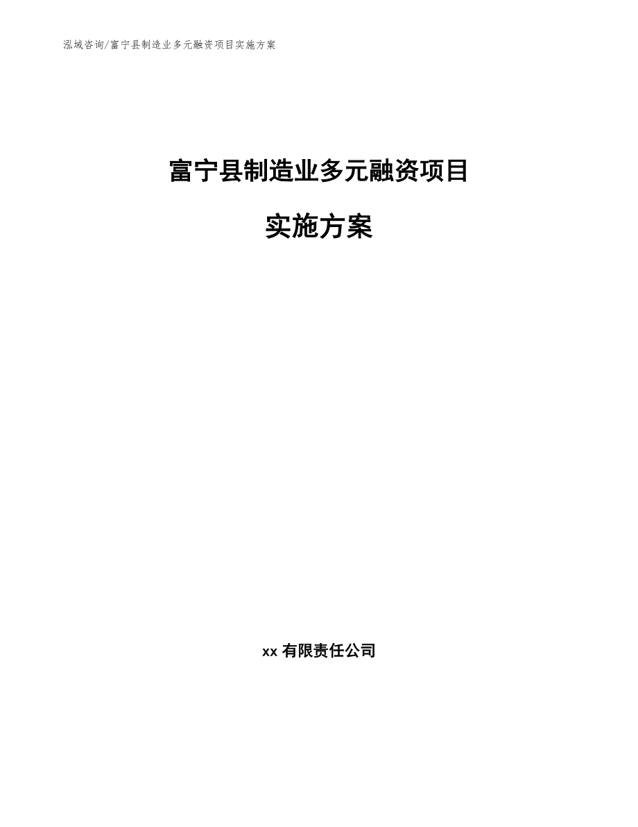 富宁县制造业多元融资项目实施方案（范文）_第1页