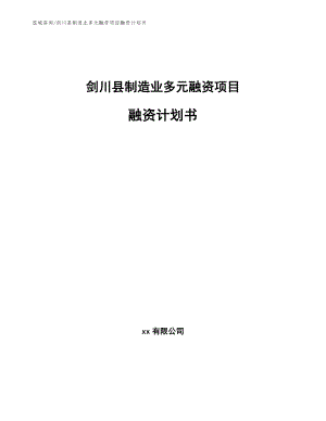 剑川县制造业多元融资项目融资计划书