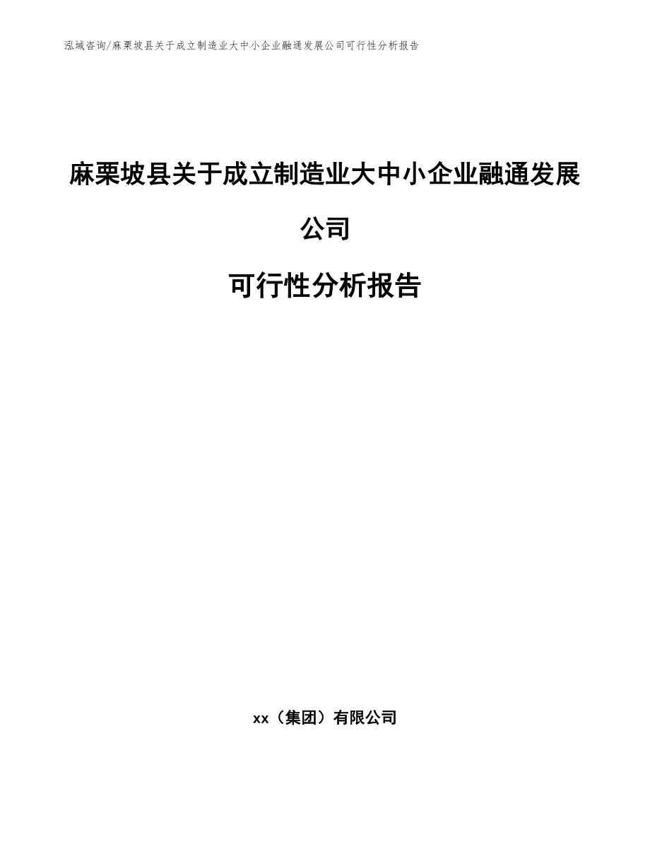 麻栗坡县关于成立制造业大中小企业融通发展公司可行性分析报告_参考范文_第1页