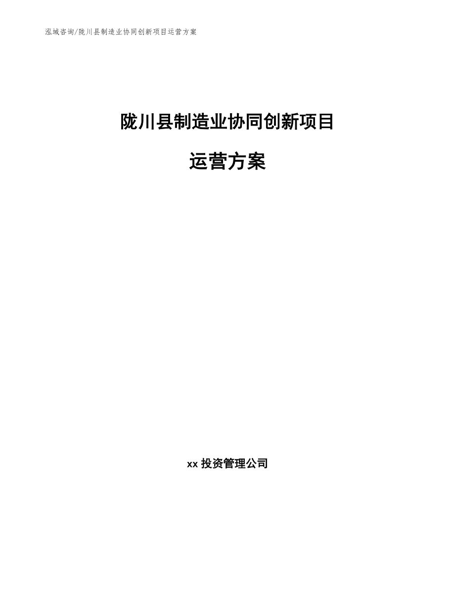 陇川县制造业协同创新项目运营方案（范文参考）_第1页