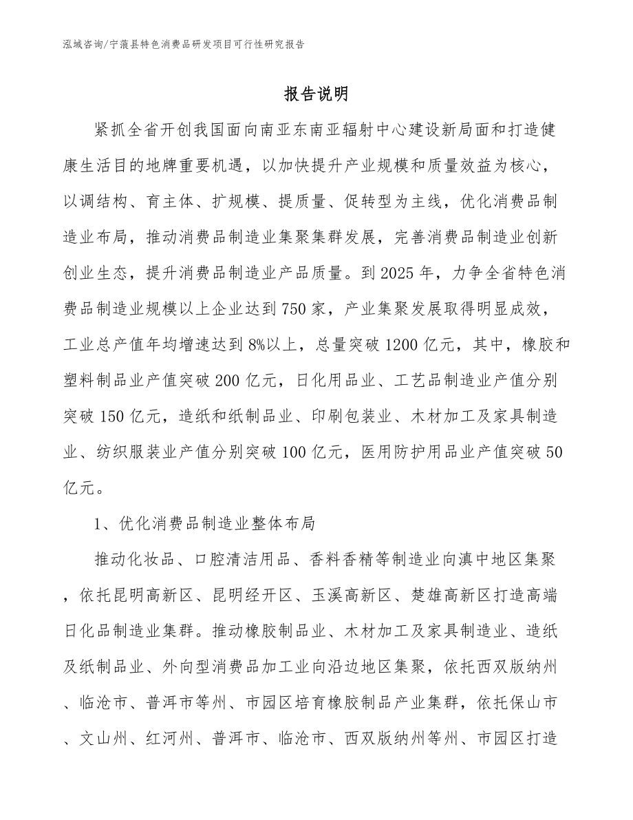 宁蒗县特色消费品研发项目可行性研究报告_模板_第1页