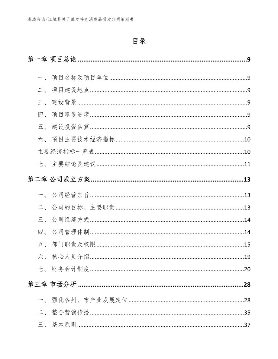 江城县关于成立特色消费品研发公司策划书范文模板_第1页