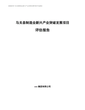 马关县制造业新兴产业突破发展项目评估报告