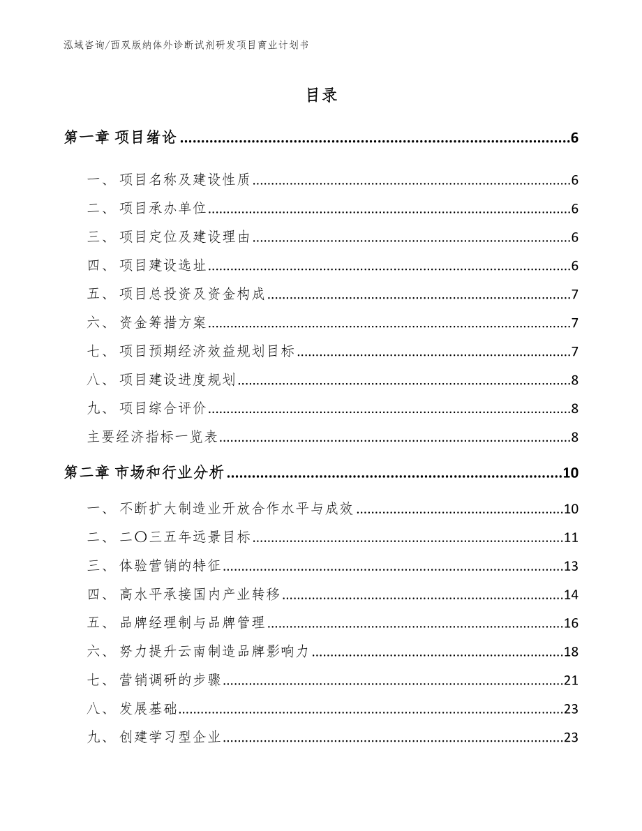 西双版纳体外诊断试剂研发项目商业计划书（范文）_第1页