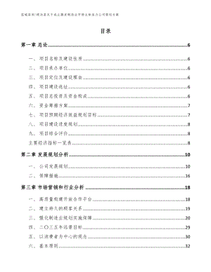 禄劝县关于成立激发制造业市场主体活力公司策划方案