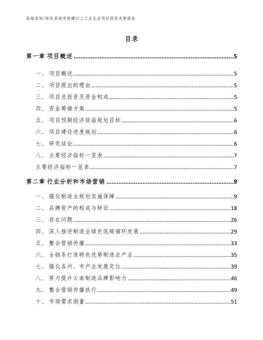 陆良县培育规模以上工业企业项目投资决策报告【模板】_第1页