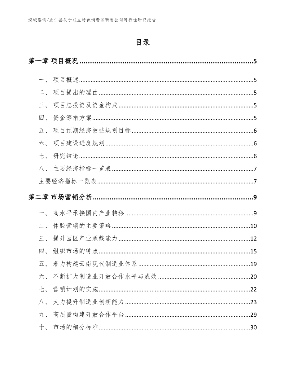 永仁县关于成立特色消费品研发公司可行性研究报告_模板_第1页