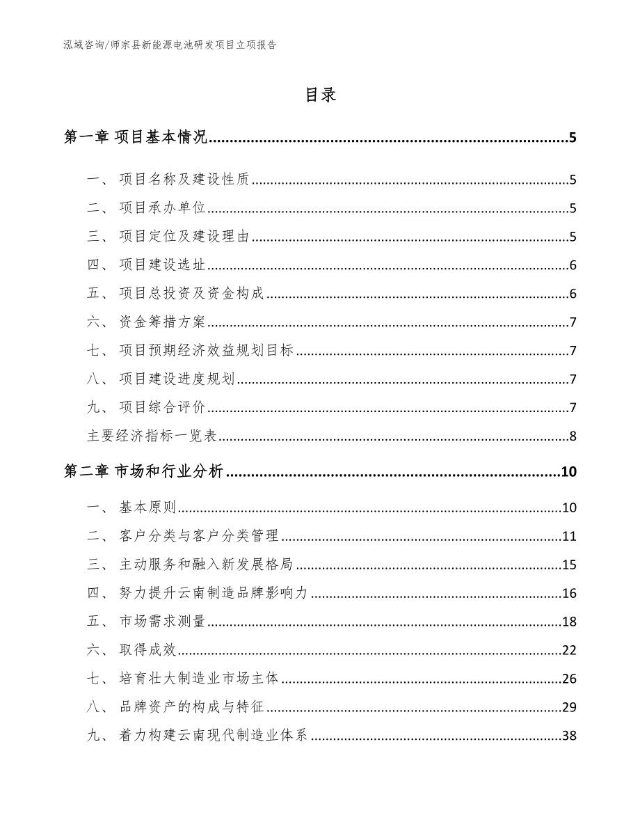 师宗县新能源电池研发项目立项报告模板范本_第1页