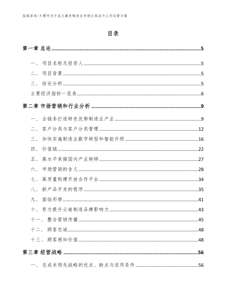 大理市关于成立激发制造业市场主体活力公司运营方案_参考模板_第1页