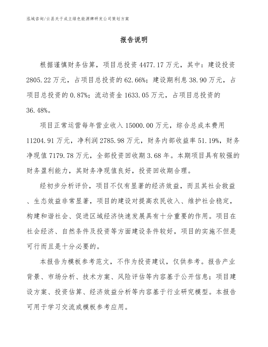 云县关于成立绿色能源牌研发公司策划方案【范文参考】_第1页