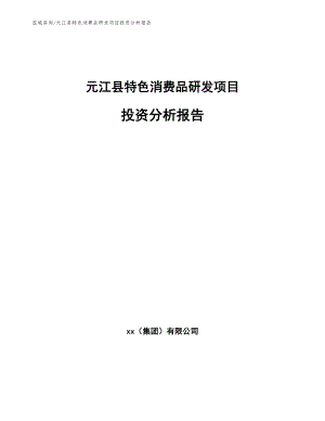 元江县特色消费品研发项目投资分析报告